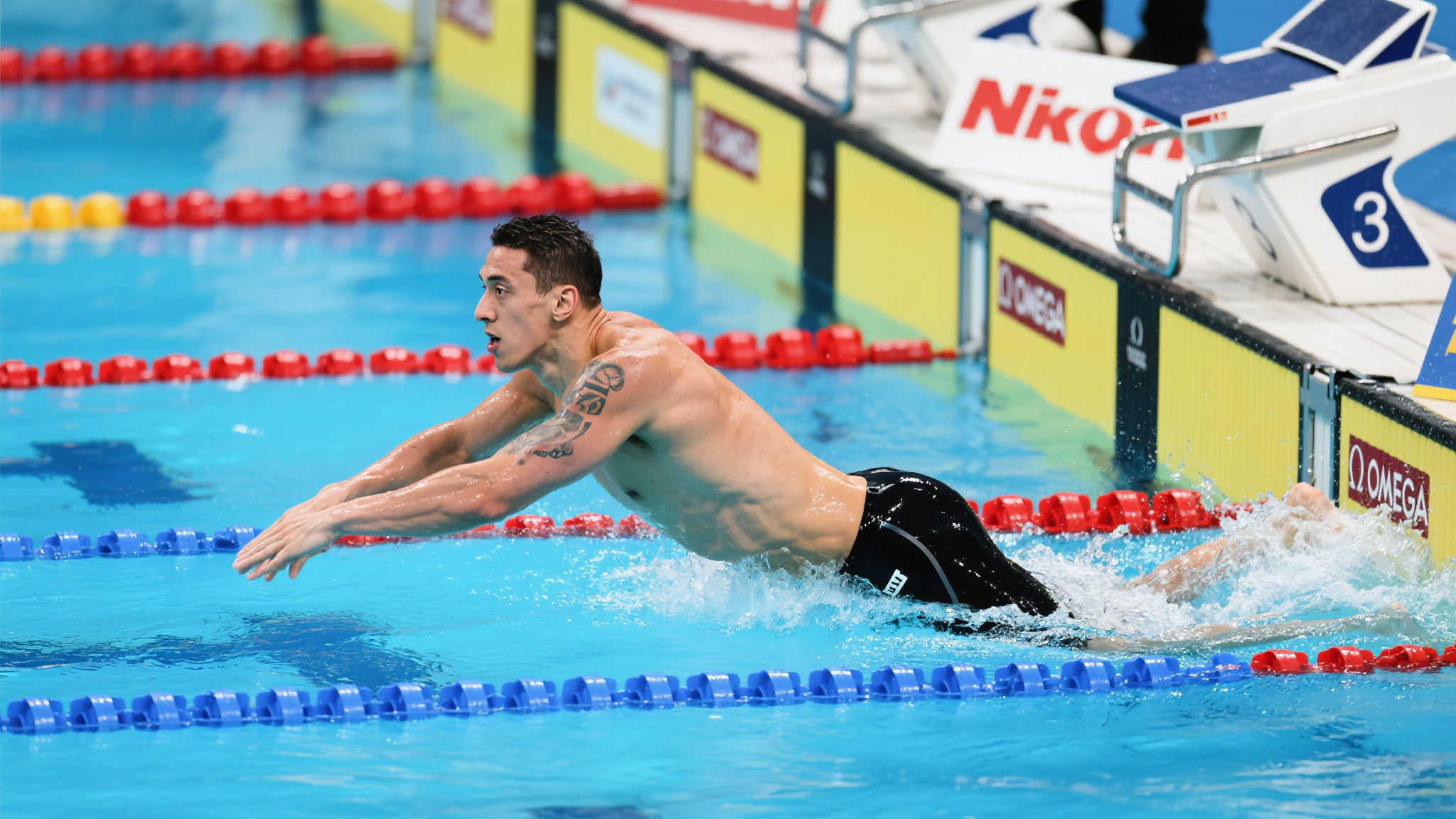 林的突破与 林的突破与