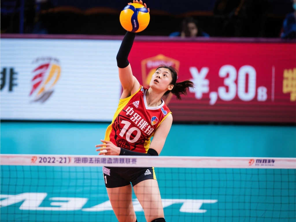 员的象征 员的象征